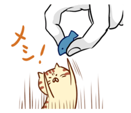 Messenger of the companion cats sticker #2011315