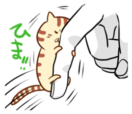 Messenger of the companion cats sticker #2011316