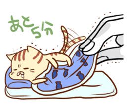 Messenger of the companion cats sticker #2011321