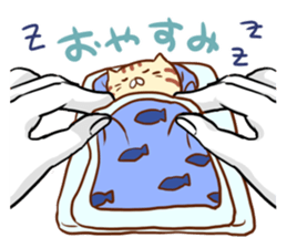 Messenger of the companion cats sticker #2011323