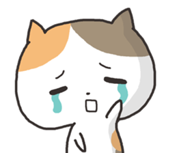 A bear and cat sticker #2011505