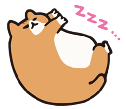 SADAWO CAT sticker #2012086