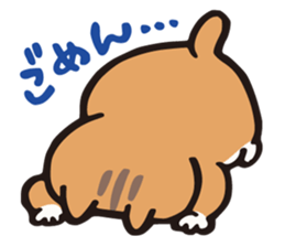 SADAWO CAT sticker #2012097