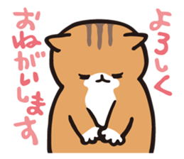 SADAWO CAT sticker #2012115