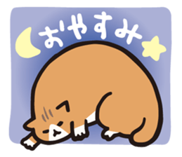 SADAWO CAT sticker #2012124