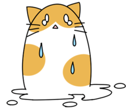 Wet cat sticker #2012344