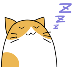 Wet cat sticker #2012353