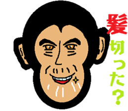 Funny Chimpanzee sticker #2012589