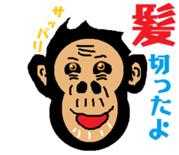 Funny Chimpanzee sticker #2012590