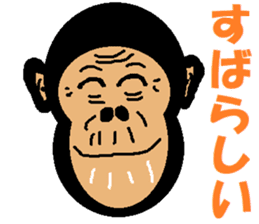 Funny Chimpanzee sticker #2012598