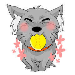 sticker of yorkshire terrier(yorkie)