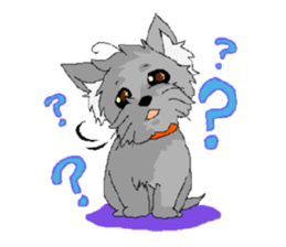 sticker of yorkshire terrier(yorkie) sticker #2012893