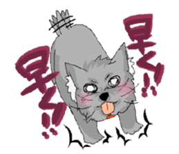 sticker of yorkshire terrier(yorkie) sticker #2012898