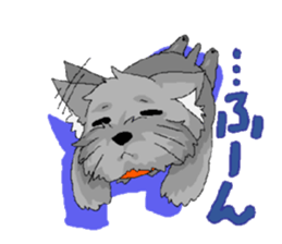 sticker of yorkshire terrier(yorkie) sticker #2012902