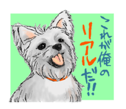 sticker of yorkshire terrier(yorkie) sticker #2012922