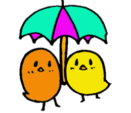 Daily piyo-ko sticker #2014870