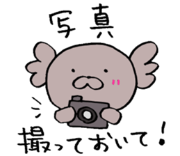 Second edition KoaPooh sticker sticker #2015147