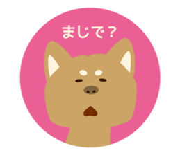 Goro the dog sticker #2017154