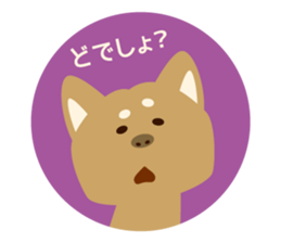 Goro the dog sticker #2017157