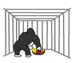 Gorilla gori sticker #2019040