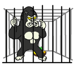 Gorilla gori sticker #2019042
