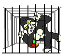 Gorilla gori sticker #2019044
