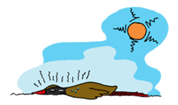 Okinawa Bird sticker #2022285