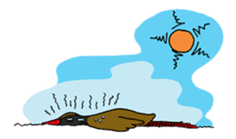 Okinawa Bird sticker #2022285