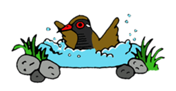 Okinawa Bird sticker #2022302