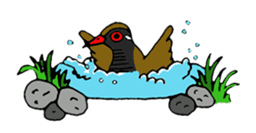 Okinawa Bird sticker #2022302