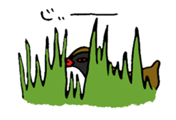 Okinawa Bird sticker #2022303