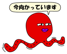 Octopus sticker of Akashi sticker #2023249