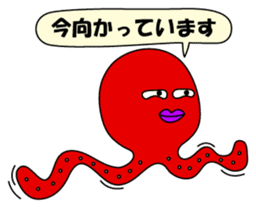 Octopus sticker of Akashi sticker #2023249