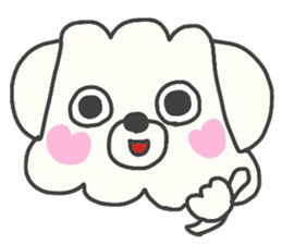 Malta of white dog sticker #2023330