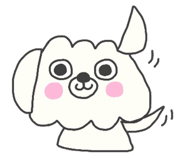 Malta of white dog sticker #2023336