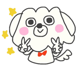 Malta of white dog sticker #2023341