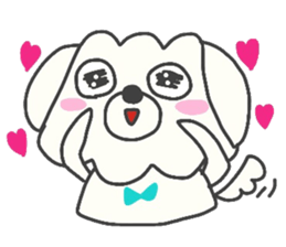 Malta of white dog sticker #2023342