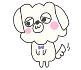 Malta of white dog sticker #2023343