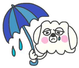 Malta of white dog sticker #2023346