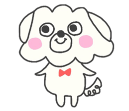 Malta of white dog sticker #2023347