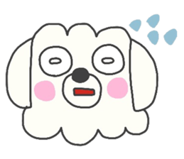 Malta of white dog sticker #2023348