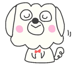 Malta of white dog sticker #2023352