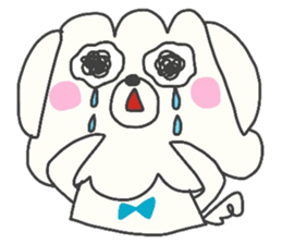 Malta of white dog sticker #2023359