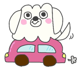 Malta of white dog sticker #2023360