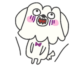 Malta of white dog sticker #2023361