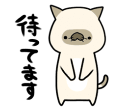 MOMONEKO cats sticker #2024067