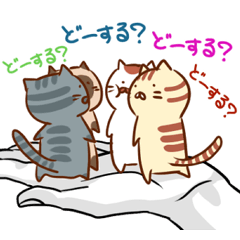 Messenger of the companion cats version2