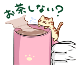 Messenger of the companion cats version2 sticker #2026903