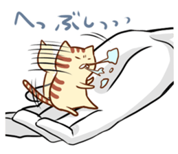 Messenger of the companion cats version2 sticker #2026912