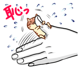 Messenger of the companion cats version2 sticker #2026915